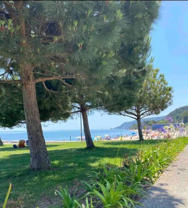 Setubal Rp House Apartamento Perto Do Mar E Comercio Na Luisa Todi Екстер'єр фото